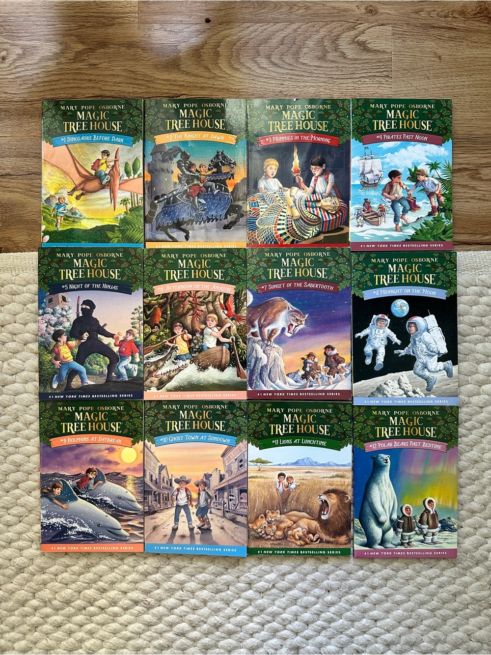 Magic Tree House Book Series Collection - Books 1 - 12